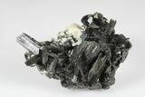 Black Tourmaline (Schorl) Crystals with Orthoclase - Namibia #177533-1